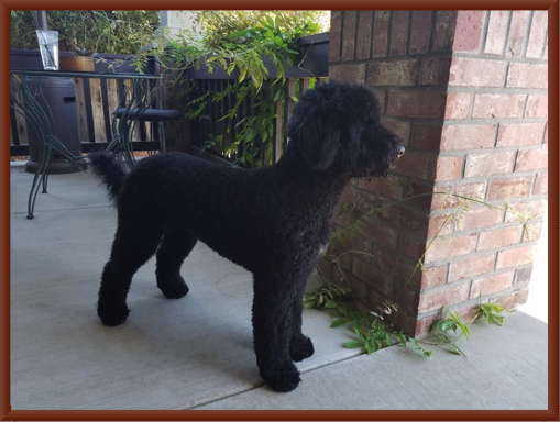 Tobi Gets First Haircut